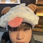 정시파이터 <b>커리</b> 훈수좀