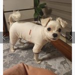 <b>강아지옷</b> 리뷰보는데