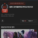 저번에 톡<b>선간</b> 셀레나 말 학대사건