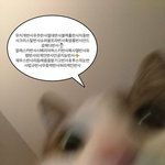 친누나한테 기죽어서 찐따된 존잘<b>연하남</b>