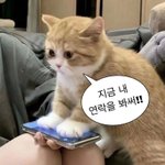 [댓글부탁해] 갓반고 2점 후반대는 어디쯤 감??