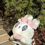 너네 완벽한 이상형 적어봐