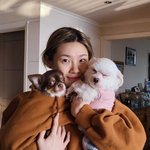 <b>리정</b> 이랑 강아지들 귀여워 ㅋㅋㅋㅋ