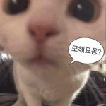 [댓글부탁해] 겨<b>쿨</b>은 청순 메이크업 못함?