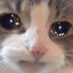 [드루와] 물에 빠진 나이프 아는사람