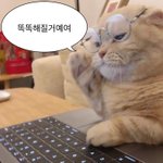 <b>인하</b>아주 문과에서 반수목표로