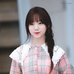 공격성 제로의 늘 <b>온화</b>한 분위기