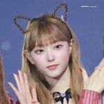강해린 <b>존예</b> 고양이