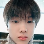 [NCT드림] 햄스터 <b>코에</b>