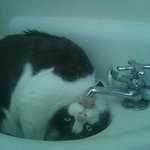 [NCT드림] 제노 찐<b>집사</b>인 점이