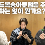 [스키즈] 30분 46초 힐링❤️