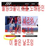 블링크 이거 털려서 <b>발작</b>중