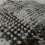 제발 남의집앞에 눈<b>오리</b>좀 만들지 마세요