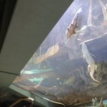 [NCT칠프] 아 얘네 ㅈㄴ 귀엽다 ㅋㅋㅋㅋㅋㅋ