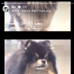 뷔 이거 <b>필터</b>뭐임