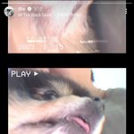 [방탄소년단] <b>셀링</b>느에서 꽃도 주고 타니도 오고