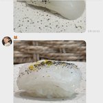 [NCT드림] 황런쥔 나랑 운명인 이유