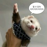 [댓글부탁해] 불안형 연애 극복하는법좀 제발