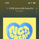 [NCT드림] 개-안