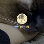 <b>류진</b> 개웃기네