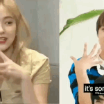 [NCT드림] 해찬이 콘취소된날 <b>류진이</b>랑 신나서 이랬을듯