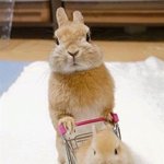 릴스찍다가 액정 나갔는데