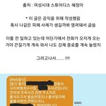 [이것좀봐줘] 본인이 남기지도 않은 악플로 고소당한 <b>여시</b> 회원.jpg