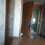 [고양이] 슬기로운 <b>임</b><b>보</b>생활10[유기묘 임시보호하기]