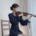 유튜브에 <b>바이올린</b>으로 곡커버하는 사람