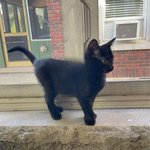 자택에서 직접 간택 받은 <b>집사들</b>