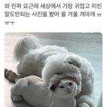 <b>설날</b>에 일본 감