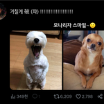 <b>모나리자</b>스마일