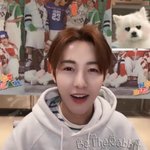 [NCT드림] <b>후드</b> 안에 꼬박꼬박 티셔츠입는겈ㅋㅋㅋㅋ