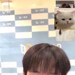 [NCT드림] 너는... 고양이인가?