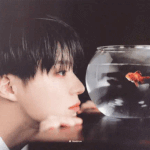 [NCT드림] <b>금붕어</b>군과의 연애