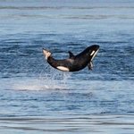 [힐링] 나의 피부<b>일지</b> 2