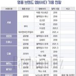 명품 앰버서더 기용 <b>현황</b>