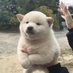 혐 갈라진 사람 주의 <b>고어</b>짤