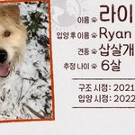 [캐나다 <b>체크인</b>] 한 번 결정을 내리고 나면 그걸 끝까지 따라야죠