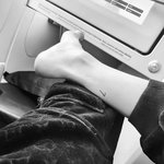 개아미 <b>발현</b>