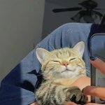 <b>갬성</b>샷 따라 해봄