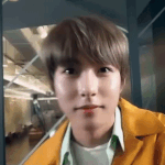 [NCT드림] <b>펫캠</b> 황런쥔