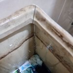 [이것좀봐줘] 월세 세입자 잘못들이면 이렇게 됩니다. 변기 파손...