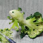 뭔가 <b>혼란</b>하다 <b>혼란</b>해..