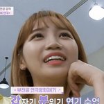김채원 <b>열애</b>설 바이럴한 이유