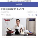 아이브 정병들 진짜 돌아버렸네