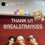 [스키즈] <b>바이브</b> 마이보자