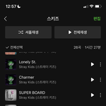 [스키즈] 스테이들아