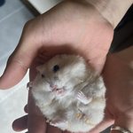 [19] 숨을 죽이고