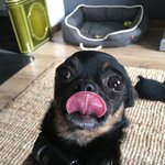 어디 한 번 <b>부농</b>이 좀 보여줘봐